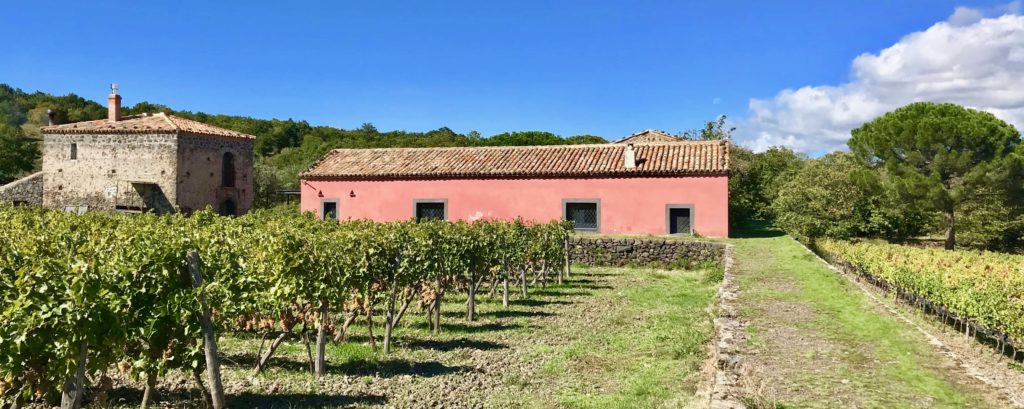 Etna Wine