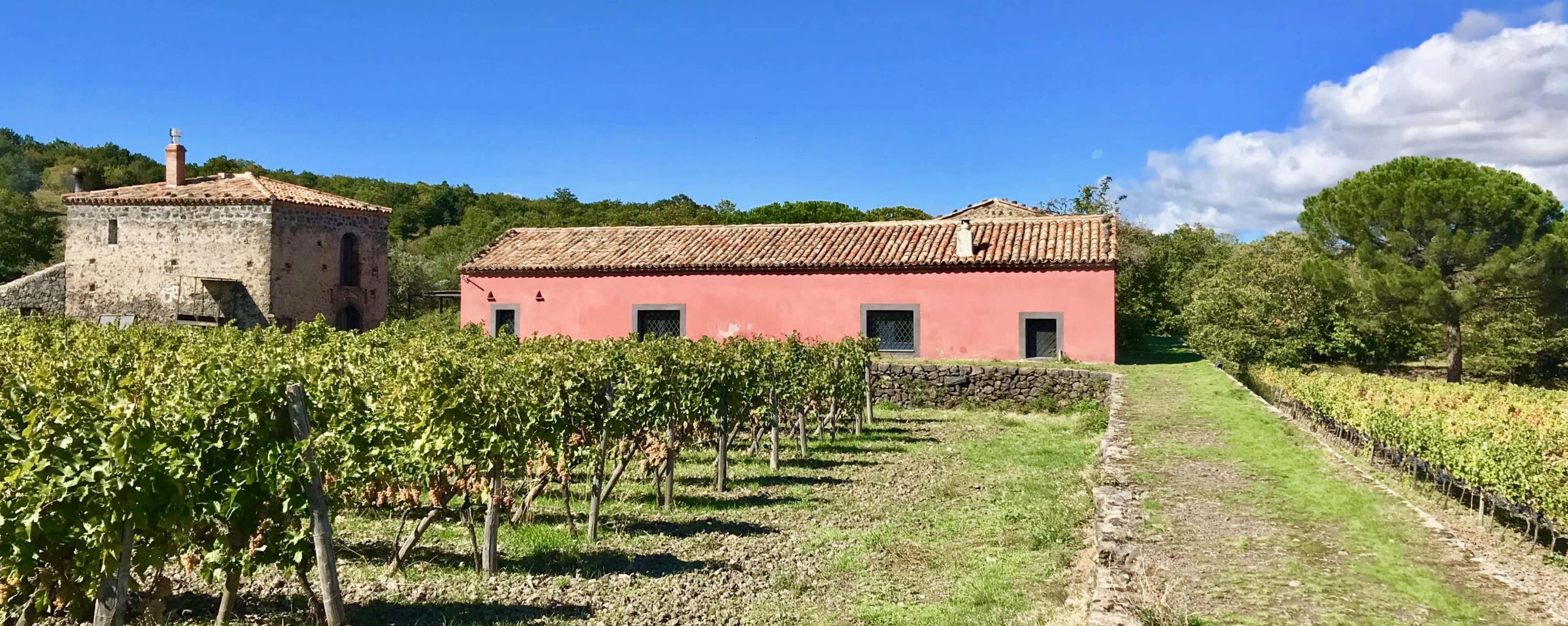 Etna Wines