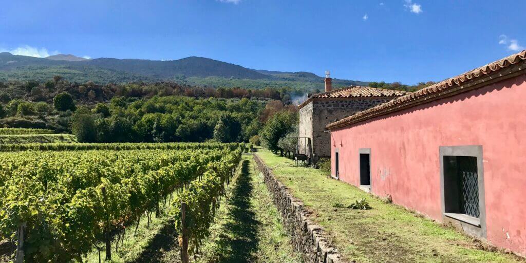 Wine Tour